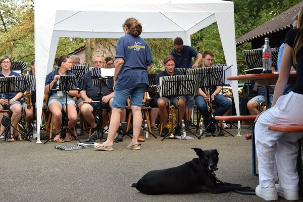 Der Spielmannszug musiziert und ein Vierbeiner im Vordergrund hört zu.