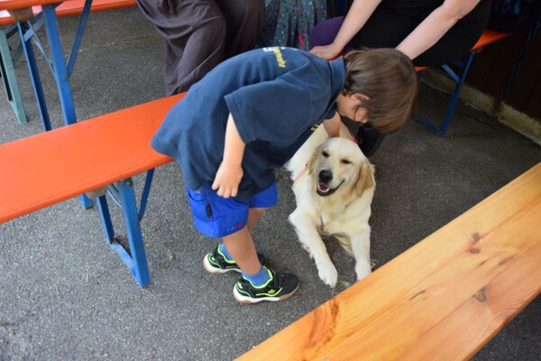 Unser Flötist Jonah schließt Freundschaft mit einem Golden Retriever